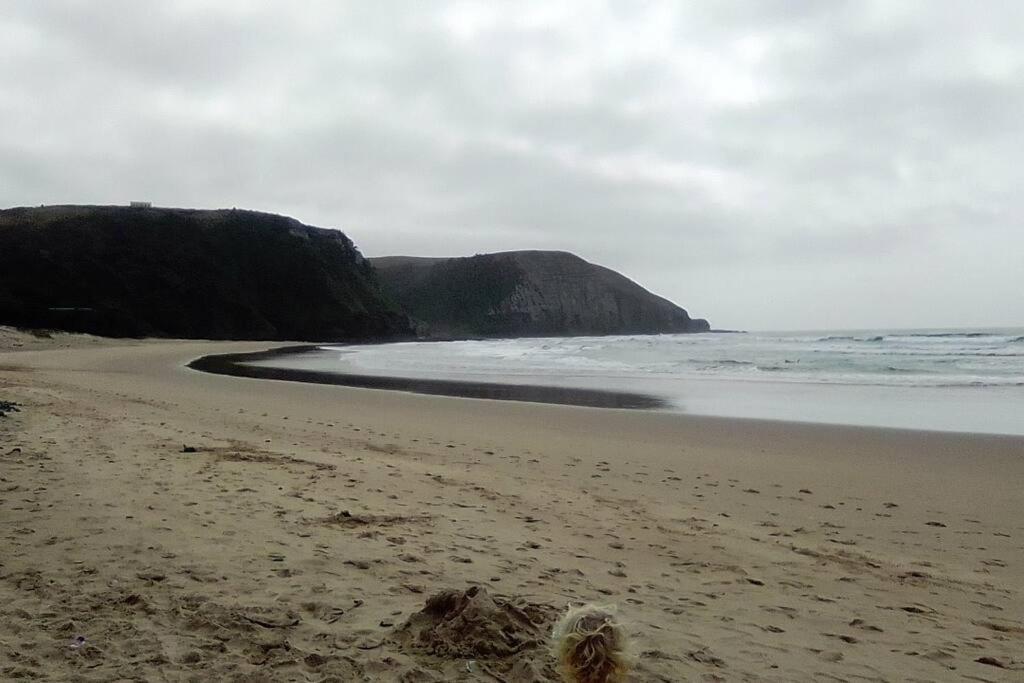 Wildview Self Catering Cottages Coffee Bay, Breakfast & Wi-Fi Inc Exteriör bild
