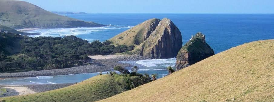 Wildview Self Catering Cottages Coffee Bay, Breakfast & Wi-Fi Inc Exteriör bild