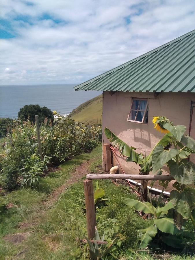 Wildview Self Catering Cottages Coffee Bay, Breakfast & Wi-Fi Inc Exteriör bild
